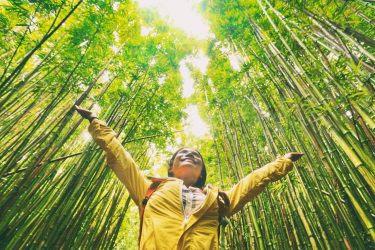 Alt=Sustainability, Impact on the environment and the planet"